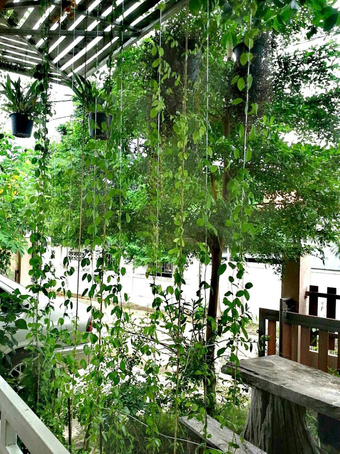 Lampang Lanna Home Zewnętrze zdjęcie