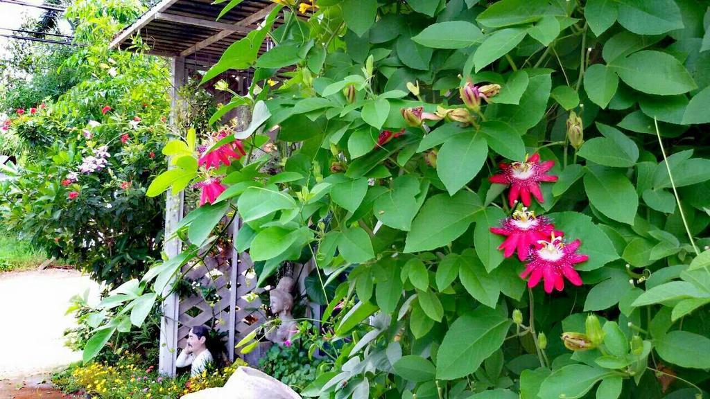 Lampang Lanna Home Zewnętrze zdjęcie