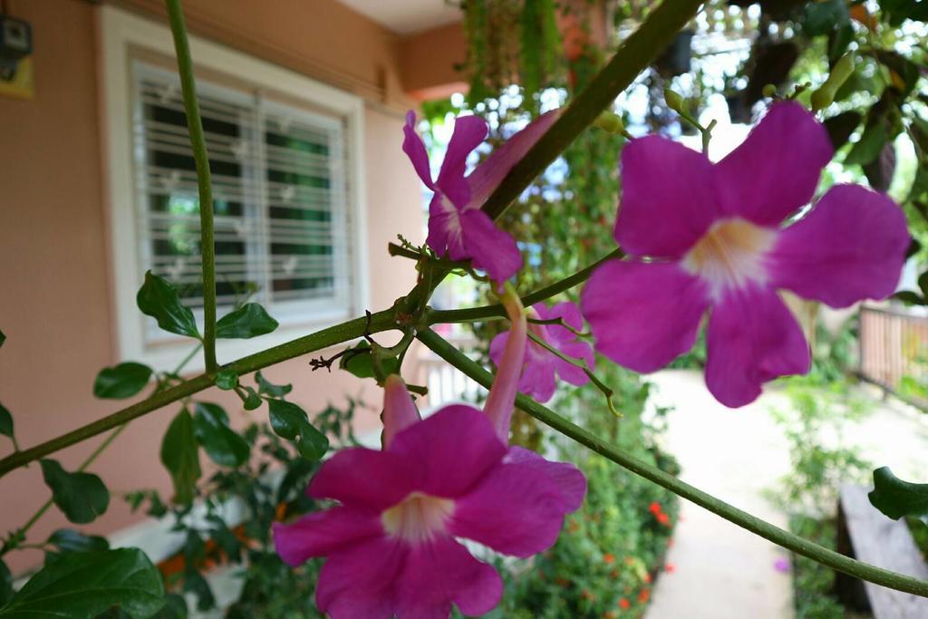 Lampang Lanna Home Zewnętrze zdjęcie